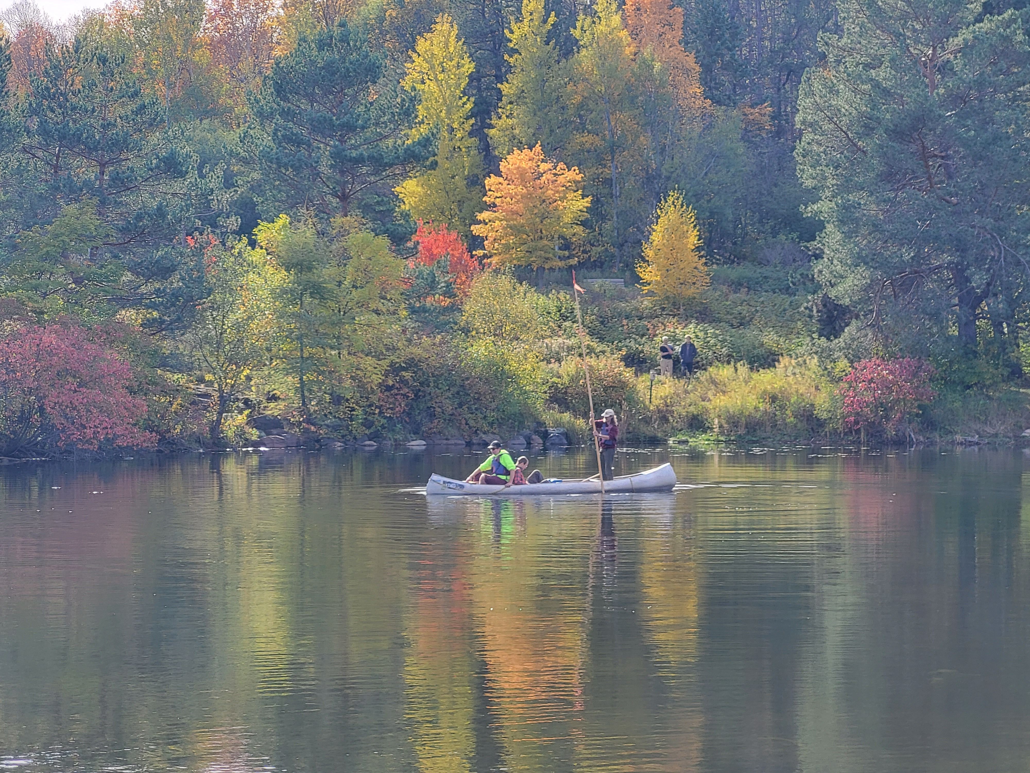 Canoeing in the Bagley Nature Area with a push pole made for collecting wild rice