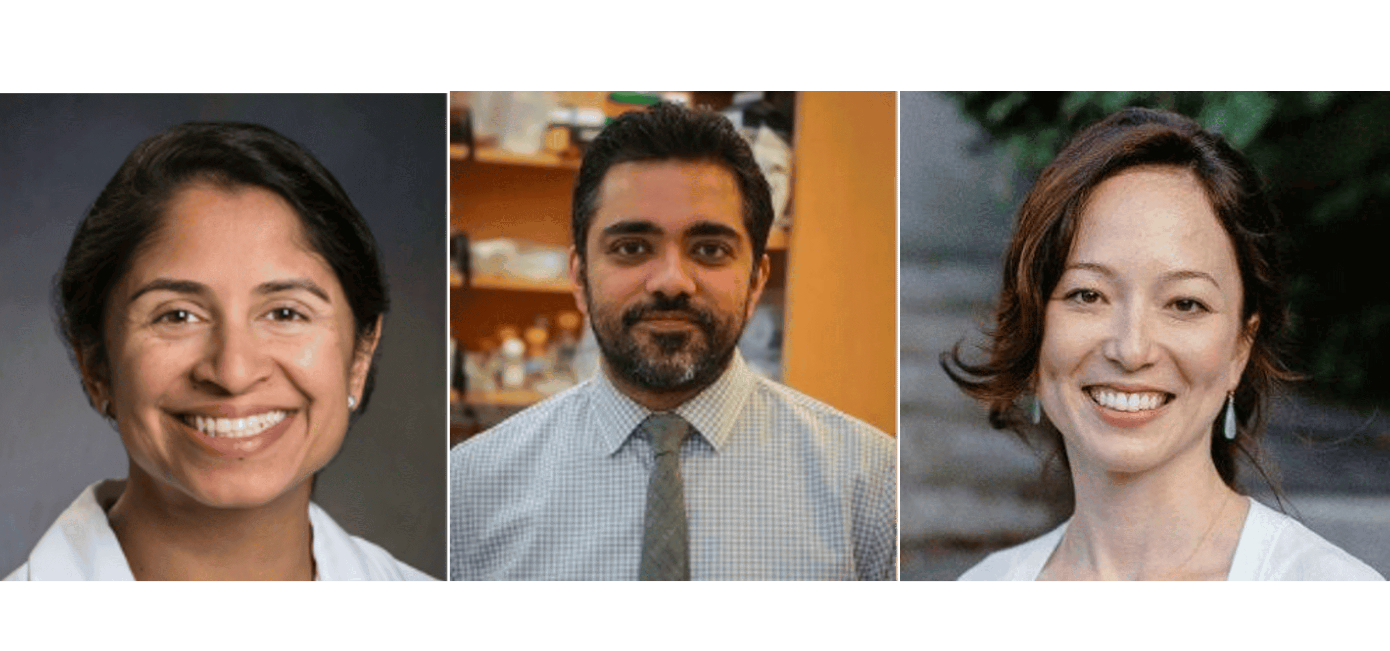 Image of Niroshana Anandasabapathy , M.D., Ph.D., (left), Rohit Chandwani , M.D., Ph.D., (middle), and Taia Wang, M.D., Ph.D., (right)